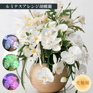 ~ ~iX LED ~ V~ ~iX @ؓ ~  ~傤 ~iXAWӒ R[h  45cmi 709 