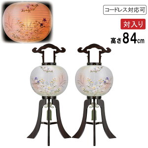 !?y|Cg&N[|z ~ ~傤  Γ sdCR[h R[hX LEDdrΉd h ڈs ̂̂ 7431-45