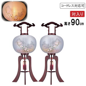 ����!?�y���|�C���g�o�b�N�Ձz �~�� �~���傤���� �� ��Γ��� �s���d�C�R�[�h�� �R�[�h���X LED�d�r���Ή���d���� �� �ړ��� �[�f�� 7442-56