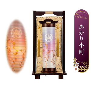 ~ ~傤 ~jTCY R[hXΉ  ƖLED dCR[h drΉ菬 z 745T