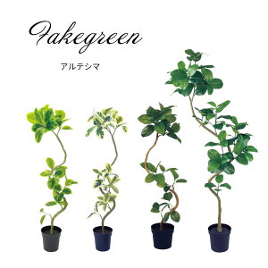 y_tf[P20{ztFCNO[ O[ AeV}  CeA ΂̂炵 GR sv qI q S A ㎿  lC 