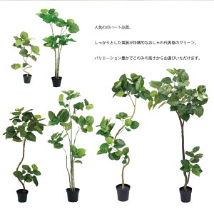 y_tf[P20{ztFCNO[ Ex[^ O[  CeA ΂̂炵 GR sv qI q S A ㎿  lC 