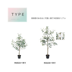 y_tf[P20{ztFCNO[ O[ C[u  CeA ΂̂炵 GR sv qI q S A ㎿  lC  [J