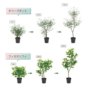 tFCNO[ tBJX I[u 3way  O[  CeA ΂̂炵 GR sv qI S A ㎿  