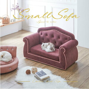 \t@[ ~j   ybgp qp p SNSf CX^f ꐶn LYɂ H PnS[WX `FX^[tB[h\t@[ zeCN  lC 