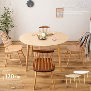 yz _CjOe[u ό`e[u 120cm Ǖte[u }`e[u 4lp zCg  k i` Ehe[u ؐ 킢 JtF RpNg 4l|p 