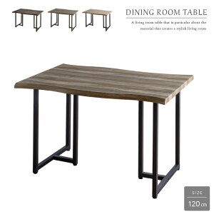 ꖇ _CjOe[u 120 4l O[ uE i` AeB[N k  120cm 4l|p gł` RXp fUC r ubN Be[W lC 