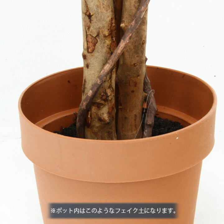 楽天市場】観葉植物 フェイク FICUS フィカス ゴムの木 B 170cm 大型 造花 インテリア 植物 フェイクグリーン 人工観葉植物 イミテーション リアル 大きめ 大きい 本物そっくり おすすめ おしゃれ かわいい プレゼント 送料無料 : 家具団地 楽天市場】観葉植物 フェイク FICUS フィカス ゴムの木 B 170cm 大型 造花 インテリア 植物 フェイクグリーン 人工観葉植物 イミテーション リアル 大きめ 大きい 本物そっくり おすすめ おしゃれ かわいい プレゼント 送料無料 : 家具団地
