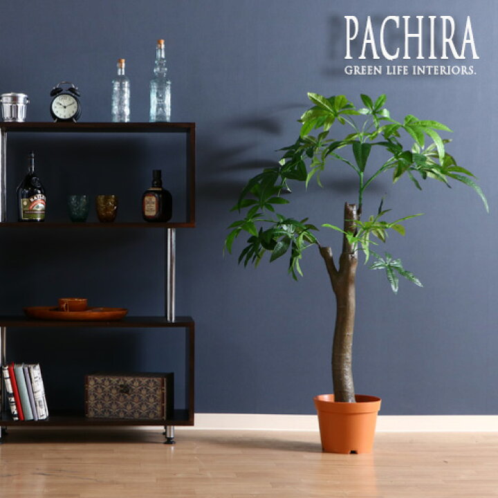 楽天市場】観葉植物 フェイク PACHIRA パキラ 朴の木タイプ 150cm 大型 造花 インテリア 植物 フェイクグリーン 人工観葉植物 イミテーション リアル 大きめ 大きい 本物そっくり おすすめ おしゃれ かわいい プレゼント 送料無料 : 家具団地 楽天市場】観葉植物 フェイク PACHIRA パキラ 朴の木タイプ 150cm 大型 造花 インテリア 植物 フェイクグリーン 人工観葉植物 イミテーション リアル 大きめ 大きい 本物そっくり おすすめ おしゃれ かわいい プレゼント 送料無料 : 家具団地