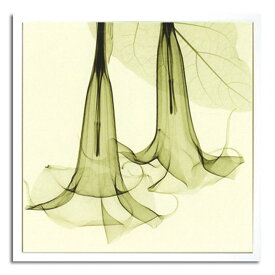 楽天市場 Datura 壁紙 装飾フィルム インテリア 寝具 収納 の通販 楽天市場 Datura 壁紙 装飾フィルム インテリア 寝具 収納 の通販