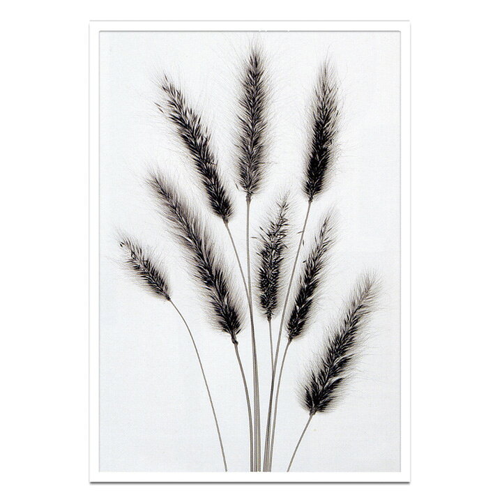 低廉 アートパネル Steven N Meyers スティーブン マイヤーズ Hare S Tail モダン 玄関 アートフレーム アートポスター おしゃれ 絵画 額入り フレーム付き 芸術 天然木 インテリア 壁掛け 寝室 リビング ギフト プレゼント 新生活 大型 送料無料 Ssx Www Numberz Co 低廉 アートパネル Steven N Meyers スティーブン マイヤーズ Hare S Tail モダン 玄関 アートフレーム アートポスター おしゃれ 絵画 額入り フレーム付き 芸術 天然木 インテリア 壁掛け 寝室 リビング ギフト プレゼント 新生活 大型 送料無料 Ssx Www Numberz Co