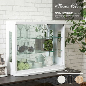 yz RNVP[X  70cm wʃ~[ [^Cv KX RNV{[h RNVbN [bN  tBMA P[X ~jJ[ fBXvC RNV