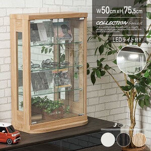 yz RNVP[X  50cm LEDCg wʃ~[ KX RNV{[h RNVbN [bN  tBMA P[X ~jJ[ fBXvC RNV{