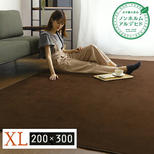 11/20()00:00`ő2000~OFFN[|zz xtl}CNt@Co[EO}bgXLTCYi200×300cmj􂦂郉O}bgbigA  FRG-XL gsv 3 4 4.5 4 4