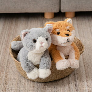 10/24()20:00`ő2000~OFFN[|zz Aj} ʂ ʂ Lʂ ֐߂    ybgX  CeAG L ˂ lR 킢 v