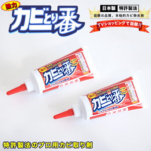 カビとり一番 180g 2本 先細ノズル付 業務用 プロ用 カビ取り一番 カビ取り剤 カビ 風呂 ふた ゴムパッキン シリコン樹脂 タイル目地 黒ずみ カビ除去 特許製法 掃除 風呂掃除 テレビショッピ