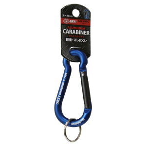 A~Jri C SK11 SAC-880Cu[ A~ŌyʂȁAxAĩJriłBȈՍH肳B BFJ1033447