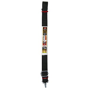 Soh2{t SK11 GBWO1M ygbNȂǂ̃V[gŒɎgpłSohłBygbNV[gŒzԃV[ǧŒB BFJ1041014