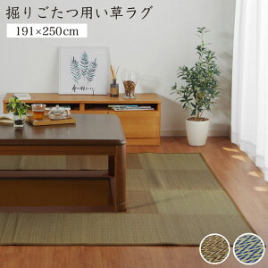 x @育 x x  O ~ s 蔲 t }WbNe[v A  sDz x[W  191×250cm   90×120cm