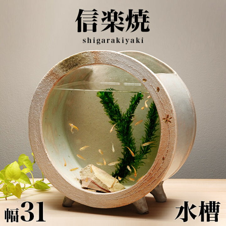 楽天市場 信楽焼き 水槽 和風 白金彩丸 大 幅31 高さ33 信楽焼 金魚鉢 水草アクアリウム 陶器製水槽 しがらき おしゃれ お洒落 陶器 インテリア 和雑貨 インテリア 和雑貨 送料込み 新生活 Nhk 連続テレビ小説 スカーレット 家具ドキッ 楽天市場 信楽焼き 水槽 和風 白金彩丸 大 幅31 高さ33 信楽焼 金魚鉢 水草アクアリウム 陶器製水槽 しがらき おしゃれ お洒落 陶器 インテリア 和雑貨 インテリア 和雑貨 送料込み 新生活 Nhk 連続テレビ小説 スカーレット 家具ドキッ