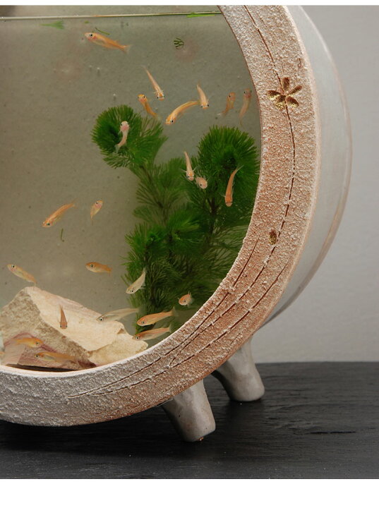 白金彩丸水槽 大 信楽焼 水槽 めだか鉢 金魚鉢 水鉢 陶器 彩り屋 置物
