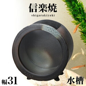y匈ZSALEJÒzMyĂ  a ֊ېij 31 33 My  ANAE 炫    CeA aG  V NHK Aer