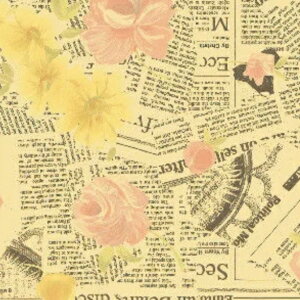 yMtgpbsOtzX}[gtg Q₦̕p Ȃzc Vw AE QԂ Rbg  I[V[Y O 240 VO 145×240 ^IPbg { 􂦂 Lk _