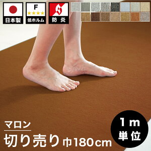 11/01(y)00:00`ő2000~OFFN[|zz @ll ؂蔄 [J[ybg 180cm X^_[h Jbg̔ Ɩp ^ { h t[Op p`J[ybg J[ybg h