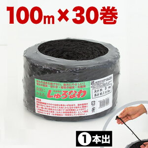 yԌ P2{z  3mm×100m  30 萔30 L V N K[fjO  _ Ɩ x  V  R Ђ