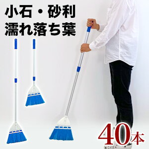 y匈ZSALEJÒzXgn[hz[Li40jiA~Lkj| NNn 40{ Gꗎtp ʂꗎt Ԃт   ق |    O ق | 