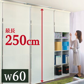 ロールスクリーン 幅60cm×高さ250cm 本棚 用 目隠し オフィス キッチン 収納 隠す 間仕切り スクリーン 模様替え 日よけ 日除け ブラインド おしゃれ ブラインド カーテン 窓 白 ホワイト アイボリー 送料無料 組立不要