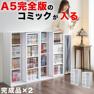 �����i�y2��Z�b�g�z�X�����X���C�h�{�I �S�iB6 ��60cm ���s34cm (���ׂĕ�120cm) �i�`�������I�[�N/�E�H�[���i�b�g�u���E�� �ؐ� �V���O���X���C�h�� ��e�� �R�~�b�N360�����[ �N�R�~�b�N300