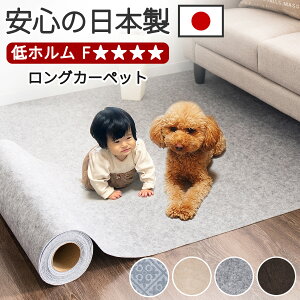 y{z[J[ybg 6m 600 60 G{X͗l p^[ 2m 3m z t[Jbg ͗l G{X  _}XN bJ AxXN ~ O^Cv u n ې 