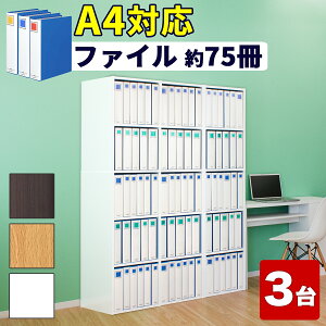 yԌ P2{zy40×3Zbgz J[{bNX 5i 3 120 170.5 A4 _[NuE zCg {I X A4t@C[ 3 A4TCY LOt@CΉ I {I IV 5i