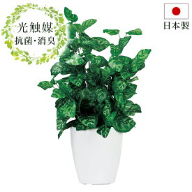 楽天市場 消臭 タバコ 卓上 花 観葉植物 花 ガーデン Diy の通販