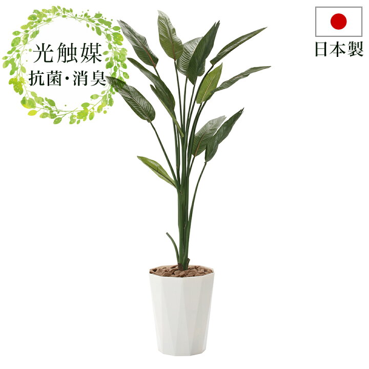 楽天市場 フェイクグリーン 光触媒 幅65cm 光触媒人工観葉植物 おしゃれ 造花 抗菌 消臭 日本製 玄関 観葉植物 光触媒 ニオイを分解 V Cat 防汚 ホルムアルデヒド分解力 タバコやペットの 臭い対策 幅60 ストレチア お祝い等ギフトにもお勧め 通販 送料無料 送料込み