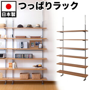 yԌ P2{z˂uI[vbN 120cmI6i^Cv i`/_[NuE/zCg X`[ ؐI { ǖʎ[ IbN I I R~bN  CD DVD [I X