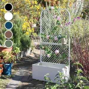 tFX v^[BOXt TWILL cC K 5 ChA K[f  x_  A h G fBXvC fG O [ RpNg G  q   G 