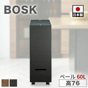 ゴミ箱 60L グランデペール 2段 60リットル 木目 木製 ダストボックス ごみばこ ごみ箱 おしゃれ ふた付き Bosk バスク リビング キッチン 木目調 かわいい スタイリッシュ ごみ箱 北欧 シンプル