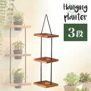 11/20()00:00`ő2000~OFFN[|zz v^[X^h 3i 25cm Ȕ Ebhv^[ ACAv^[ Jo[ C_XgA ACA Vr[yz