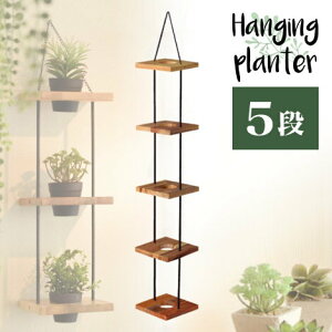 11/20()00:00`ő2000~OFFN[|zz v^[X^h 5i 25cm Ȕ Ebhv^[ ACAv^[ Jo[ C_XgA ACA Vr[yz