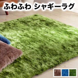 シャギーラグマット 130 x90cm カーペット ラグ マット ふわふわ おしゃれ センターラグ ラグカーペット じゅうたん 秋 冬 絨毯【送料無料】通販 テイスト【送料込み】 新生活 1畳