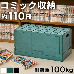 yԌ P2{zR~bN[{bNX 60 RNV e  }K Ȃ ۊ ω׏d100kg ܂肽 ςݏd V B6 NR~bN G  X^bLO P[X 