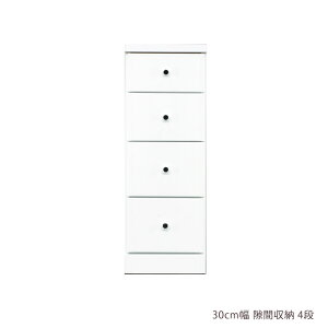X`FXg 30cm `FXg Ԏ[ [`FXg ԉƋ X RpNg 4i o[ o o rO`FXg rO[ ؐ [  Ƌ zCg Gi