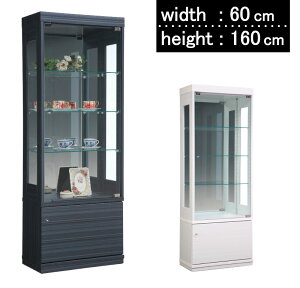 RNVP[X RNV RNV{[h KXP[X tBMAbN rO[ [Ƌ i RNVbN 60cm 160  KX KXI ؒI Vv 