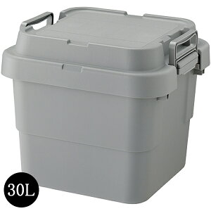 トランクカーゴS蓋30L アウトドア キャンプ 収納ボックス 収納ケース 容量30リットル 箱 アウトドア 衣類収納 おもちゃ箱 フタ付き 座れる スツール プラスチック シンプ