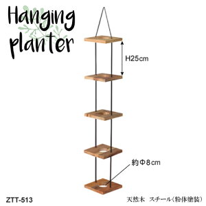 Hanging Planter@nMOv^[4i@v^[@݂艺@VR؁@X`[@̓h