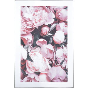 A[gpl@G@ԁ@80×120cm@OtBbNpl@fUC{[h@A[g@CXg@G@ʐ^@CeA@@Ǌ|@rO@ց@_@@