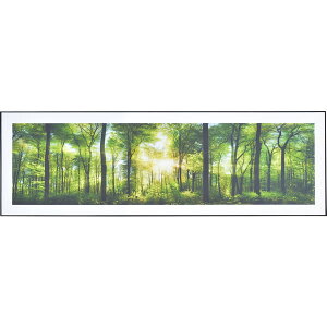 A[gpl@G@ԁ@140×45cm@Ch@OtBbNpl@fUC{[h@A[g@ʐ^@i@iF@CeA@@Ǌ|@rO@ց@_@@