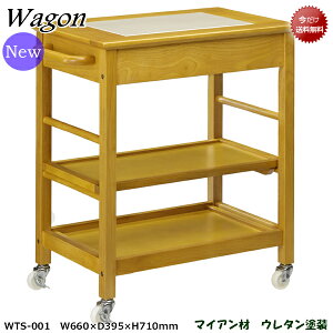 _CjOSyt[SzWTS-001/I[NrOAQetcłgp܂BLX^[tňړNNB